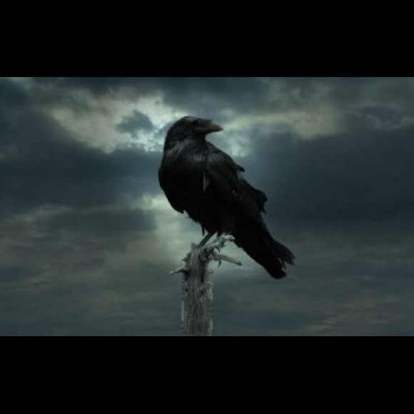 Meet your Posher, David - Picture 1 of 1